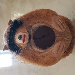 Vintage Raccoon Coconut Vase